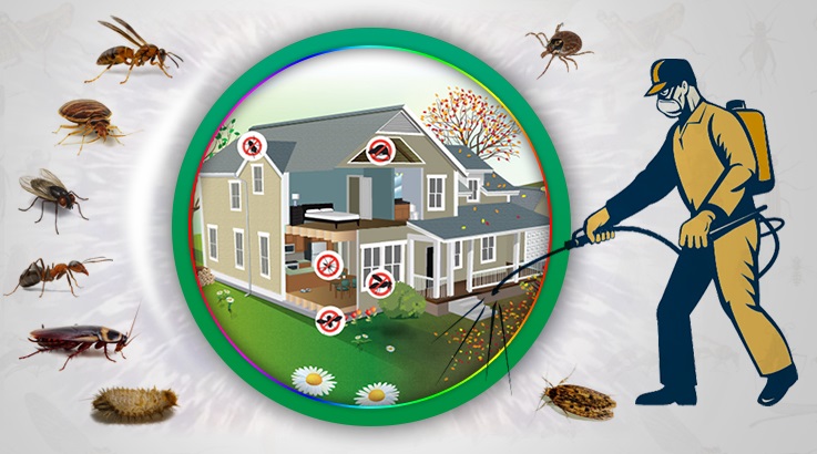 Kabadüz Böcek İlaçlama